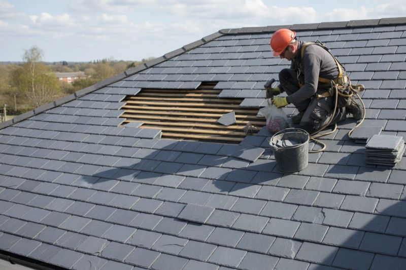 Roof Restoration Service