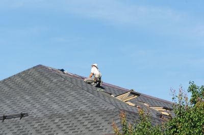 Experienced Roof Repair Specialists